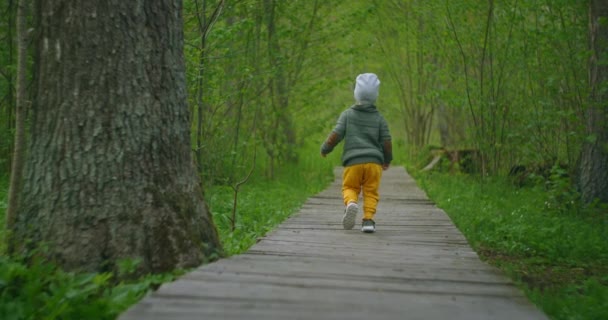 Un ragazzo corre in un parco su un sentiero di legno al rallentatore. Avventura di un ragazzo nella foresta. Un bambino di 2-3 anni passa sopra un ponte di legno nella foresta
. - Filmati, video