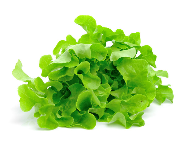 fresh green lettuce leaves isolated on white - Photo, Image