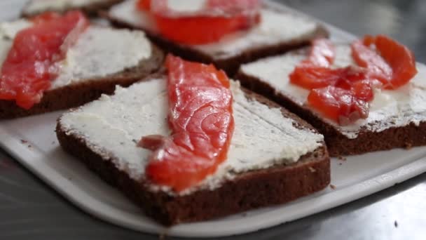 Smoked salmon sandwich appetizer with toasted bread - Footage, Video