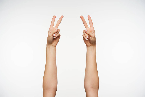 Studio foto van twee opgeheven vrouwelijke handen met witte manicure tonen vrede gebaar terwijl poseren over witte achtergrond. Informele dames hand emoties - Foto, afbeelding