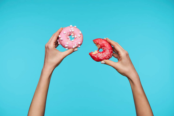 Горизонтальна фотографія красивих рук молодої леді, яка тримає свіжі пончики з рожевим заморожуванням, голодна і кусає одну з них, позує на синьому фоні
 - Фото, зображення