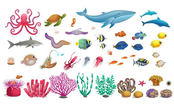 Grande serie di barriera corallina con alghe pesci tropicali, una balena, un polpo, una tartaruga, meduse, uno squalo, un pesce pescatore, un cavalluccio marino, un calamaro e coralli. Illustrazione vettoriale in stile cartone animato
. - Vettoriali, immagini