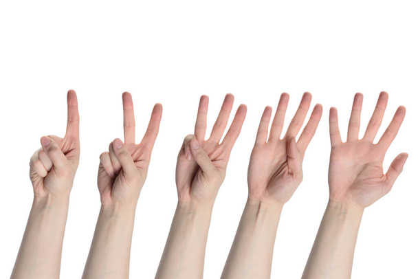 Männliche Hände zählen von eins bis fünf isoliert auf weißem Hintergrund - Foto, Bild