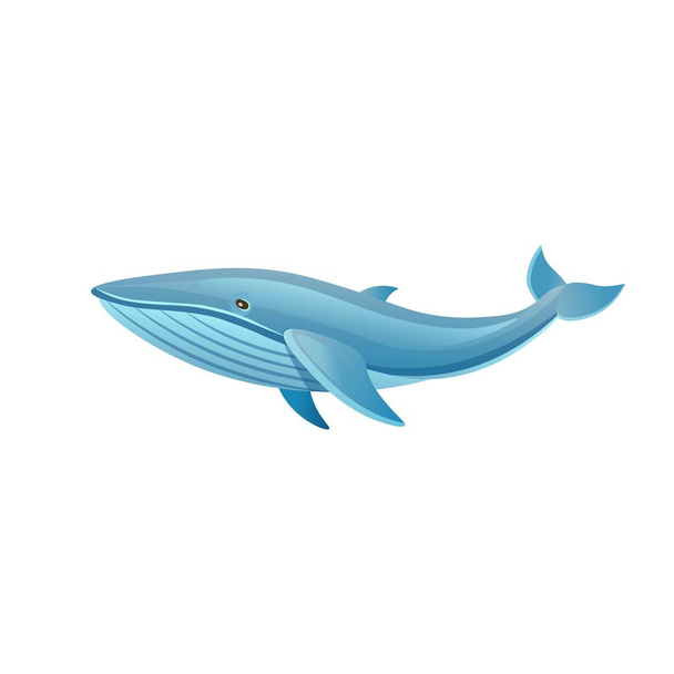 Kreskówkowy wieloryb na białym tle. Ilustracja wektora - Wektor, obraz