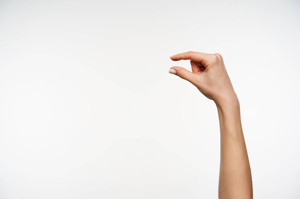 Внутрішній знімок красивої молодої жінки з білим манікюром, що показує невелику довжину пальцями, позуючи на білому тлі. Концепція мови тіла
 - Фото, зображення