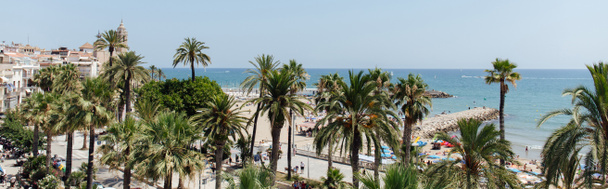 Panoramic shot of palm trees on sea coast in Catalonia, Spain  - Foto, imagen