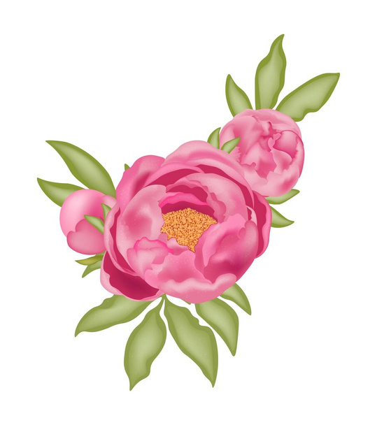 Peonia rosa con foglie e boccioli verdi, isolata su fondo bianco, con effetto 3D, illustrazione vettoriale stock. Per design e decorazione, logo, adesivo, stampa
. - Vettoriali, immagini