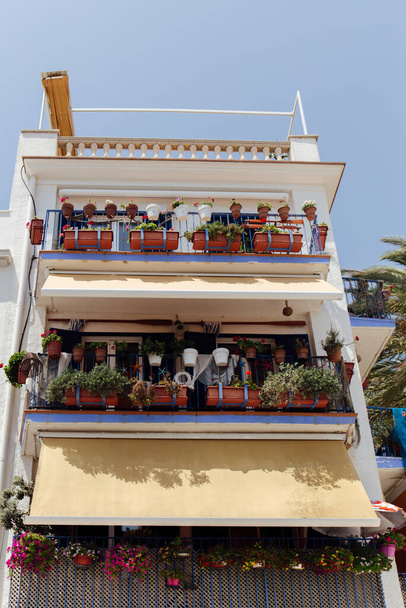 Χαμηλή γωνία άποψη των ανθισμένων λουλουδιών σε γλάστρες στο μπαλκόνι του σπιτιού με μπλε ουρανό στο παρασκήνιο στην Καταλονία - Φωτογραφία, εικόνα