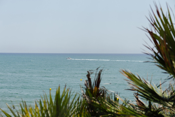 Denizdeki teknenin seçici odak noktası ve Katalonya, İspanya kıyılarındaki palmiye dalları  - Fotoğraf, Görsel