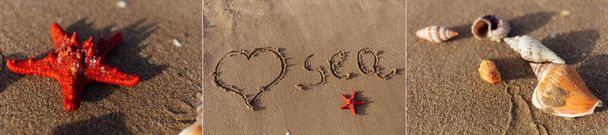 Collage aus Liebeszeichen mit Seeaufschrift und Muscheln mit Seesternen auf Sand am Strand  - Foto, Bild