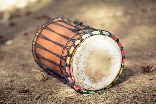 松の葉の上の林床に横たわるアフリカの太鼓. - 写真・画像