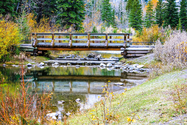 Aikainen lumi varhain syksyllä Mount Lorret Pondsilla. Bow Valleyn villieläinpuisto. Alberta, Kanada - Valokuva, kuva