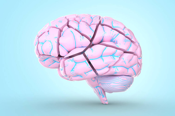 Összetört agy. Fogalmi 3D illusztráció hasznos vizualizáló agyi betegségek. - Fotó, kép