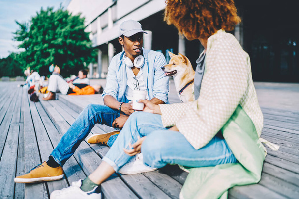 Hipster african american young man with modern headphones on neck talking with stylish girlfriend sitting on wooden stairs and spending free time outdoors together with dog on weekend in sunny day - 写真・画像