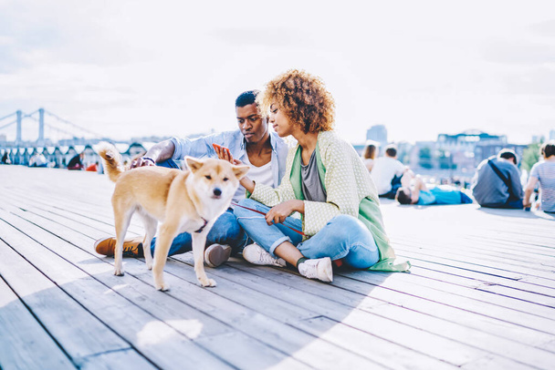 African american couple in love sitting in urban setting and watching live stream online in blog on smartphone using 4G internet.Young man and woman spending time together with dog in modern city - Фото, зображення