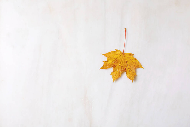 Один желтый осенний кленовый лист на белом мраморном фоне. Плоский лежал. Осенний творческий фон
. - Фото, изображение