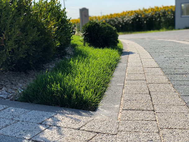 Perspektivische Ansicht des monotonen grauen Ziegelsteins auf dem Boden der Straße. Gehweg, Auffahrt, Pflaster, Pflaster im Vintage-Design Bodenbelag Quadrat Muster Textur Hintergrund, Haus, Gras - Foto, Bild