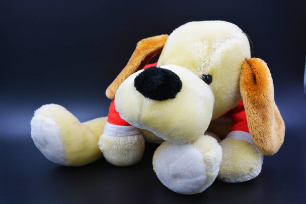 A soft children's toy, an ivy dog in a red rug and brown ears is located on a black background. - Photo, Image