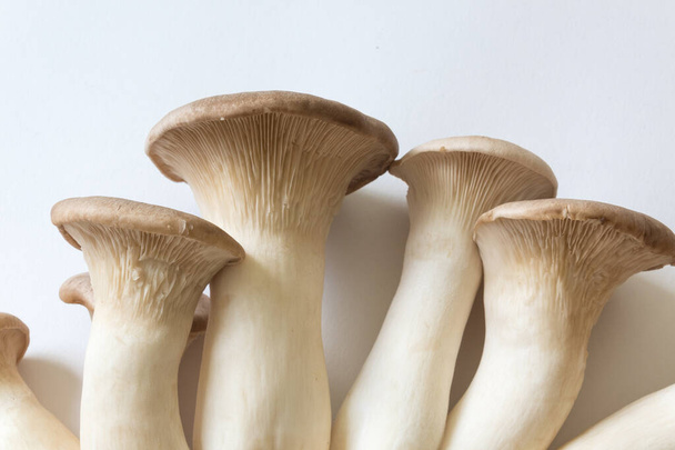 Detail of stems and caps, Pleurotus eryngii King Trumpet Mushrooms, food ingredient, isolated on white, horizontal aspect - Photo, Image
