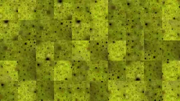 Vidéo abstraite de textures mosaïques à partir de fragments d'une image fractale spongieuse verte. Conception de fond. En toile de fond. Papier peint
. - Séquence, vidéo