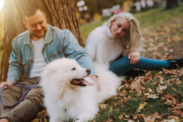 Young smiling couple with white fluffy dog sitting under tree in autumn park - Photo, image
