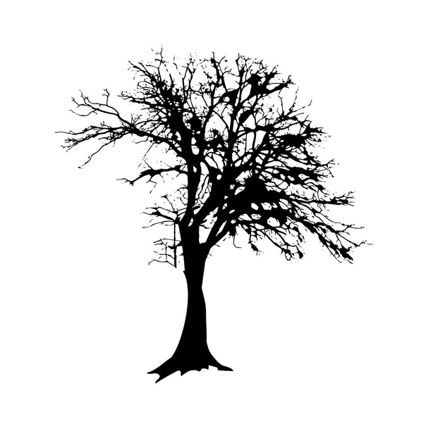 Black tree silhouette isolated on white background. Forest nature element. Vector illustration. - Vector, Image