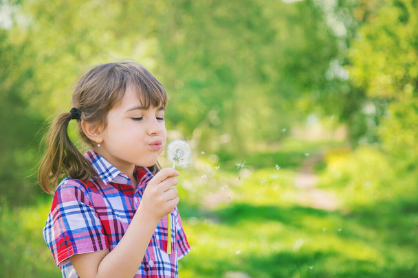Κοριτσάκι με πικραλίδες στο πάρκο. Επιλεκτική εστίαση. - Φωτογραφία, εικόνα