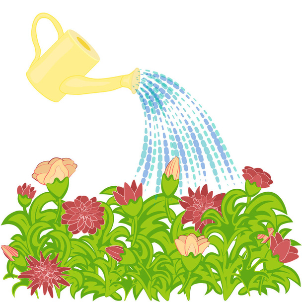 flower beds are poured from watering cans - Vector, Image