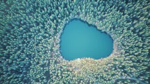 Widok z powietrza na jezioro Devil Lake Velnezers, Cortoks lub Chortock Lake. Przejrzyste jezioro Velnezers jest 17 metrów głębokości i znajduje się Latgale Aglona, Łotwa . - Materiał filmowy, wideo