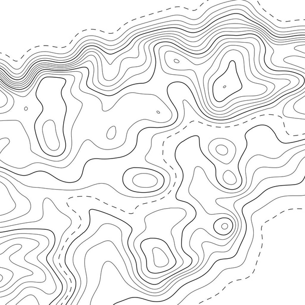 Fondo del mapa topográfico. Mapa de cuadrícula. Ilustración abstracta del vector. 3d
 - Vector, Imagen