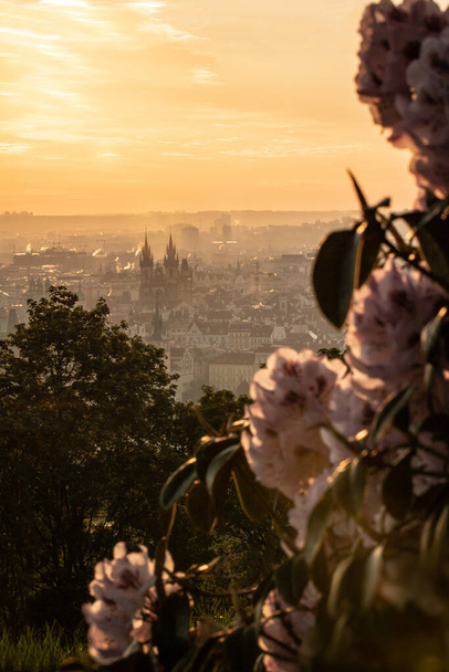 antenni näkymä auringonnousun Prahassa. matkailu käsite, Tsekin tasavalta
 - Valokuva, kuva