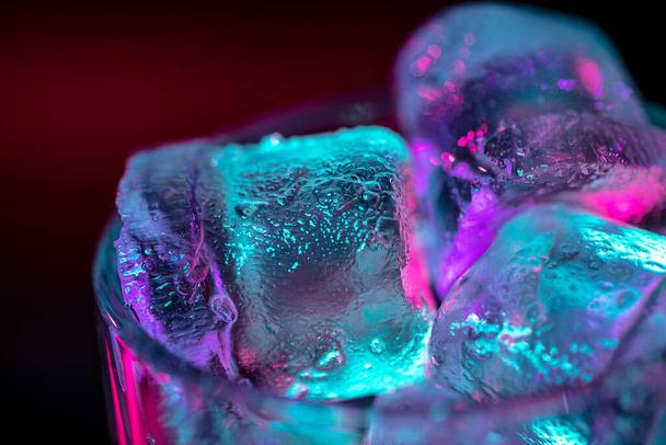 Close up of ice cubes in glass of alcoholic cocktail, beverage, drink in multicolored neon light - Φωτογραφία, εικόνα