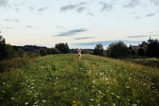  Girl running on a lush green field - Photo, Image