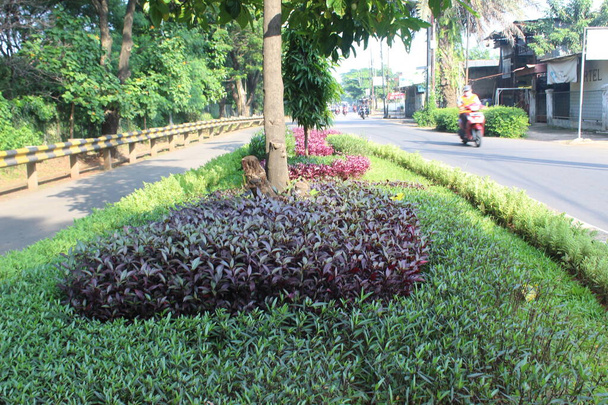 Парк посередине улицы Джакарта. Парк, чтобы украсить дорогу. Программа озеленения дорог общего пользования. Программа декоративных растений на дороге
. - Фото, изображение