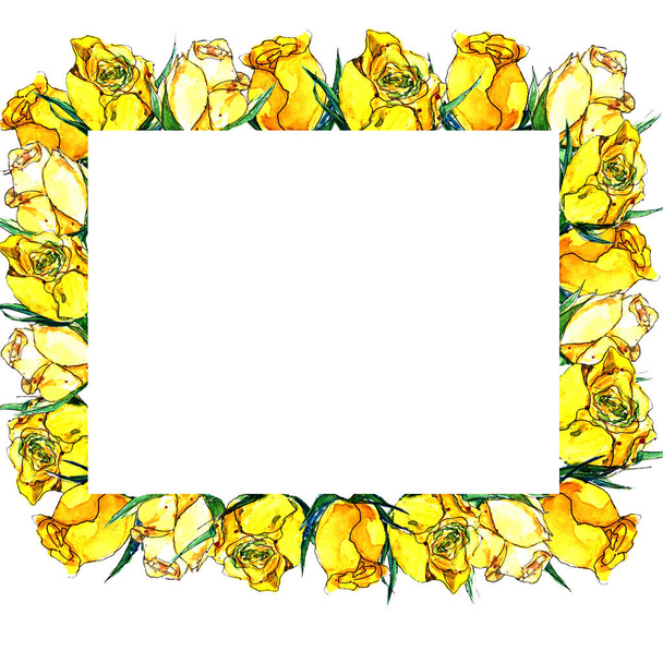 frame of watercolor yellow roses on a white background on a white background - 写真・画像