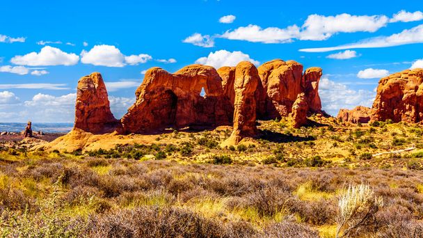 Unique Red Sandstone Formations of the Parade of Elephants in Arches National Park near the town of Moab in Utah, Estados Unidos
 - Foto, Imagem