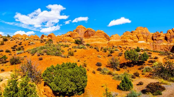 Pináculos de arenito vermelho único e barbatanas de rocha no Devil 's Garden no Parque Nacional de Arches, perto da cidade de Moab, em Utah, Estados Unidos
 - Foto, Imagem