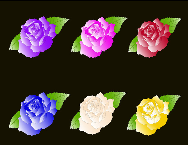 Set six Roses - Διάνυσμα, εικόνα
