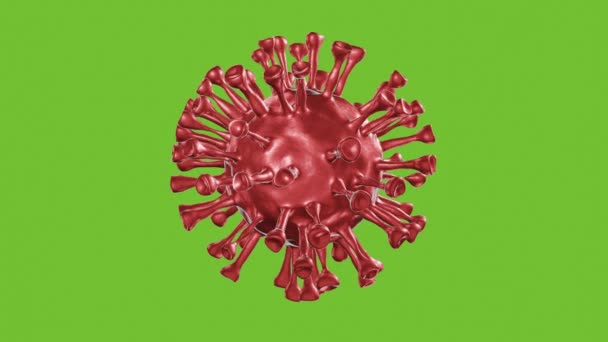Červený koronavirus, Covid 19, Bakterie, Nebezpečné buňky na izolátu mikroskopu na zelené obrazovce. Epidemie COVID-19, Corona virus, virus chřipky, Čína virus ve zdraví, infikovat, Lékařský koncept v 3D animace - Záběry, video