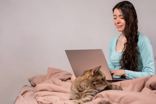 The concept of social distance and isolation. Work from home remotely over the Internet. A young woman works at home on a computer and a cat is next to her. Quarantine. Copy space. - Photo, Image