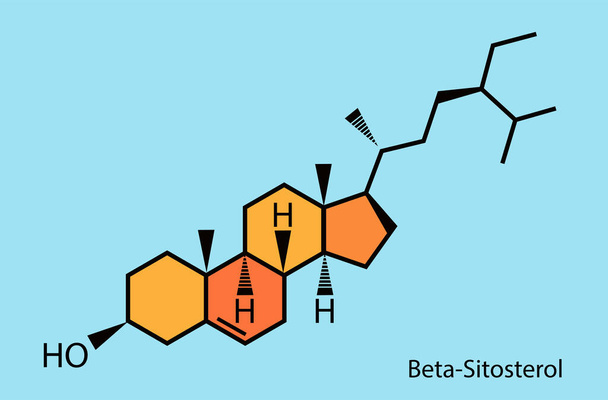 béta-szitoszterin, fitoszterin és trigliceridek, koleszterinvektor kialakítása   - Vektor, kép