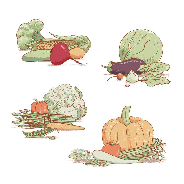 Rengeteg kézzel rajzolt népszerű vintage stílusú szezonális zöldségek főzés, vektor illusztráció. Szarvasmarha - Vektor, kép