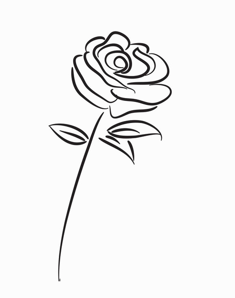 rose Flower  ,line drawing style,  art design - Vector, Image