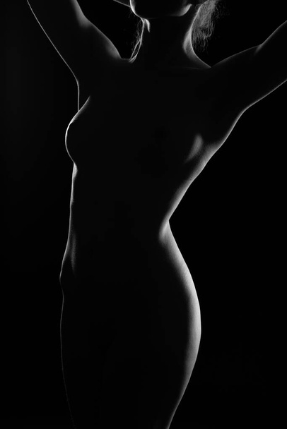Silueta femenina desnuda. Retrato en blanco y negro. Mujer Sexy joven. Chica con cuerpo desnudo
 - Foto, Imagen