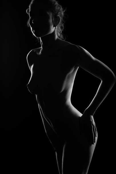 Silhouette of a Nude sexy long-haired woman with a beautiful body. Black and white erotic Studio photo. - Zdjęcie, obraz