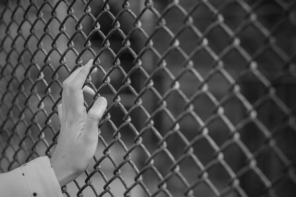 Mani con gabbia in rete, Mani con recinzione in rete d'acciaio
 - Foto, immagini