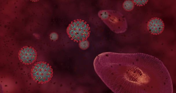 Concentração elevada Doença por Coronavírus Covid-19. Grupo de animação de vírus e células vermelhas do sangue fechar sob o microscópio. 3D renderização ilustração 3D - Foto, Imagem