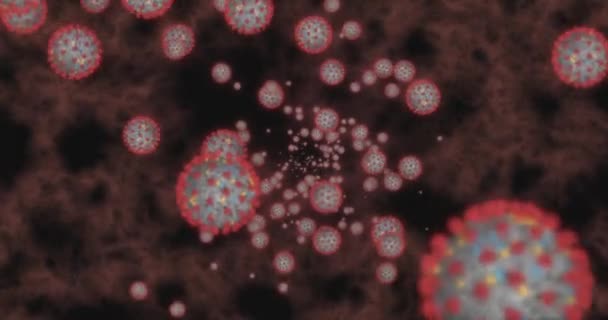 Komórki koronawirusowe COVID-19 Choroba zakaźna na czarnym tle. Szybkie przenoszenie chorób. Wysokie stężenie koronawirusu. Pętla renderowania 3D 4k - Materiał filmowy, wideo