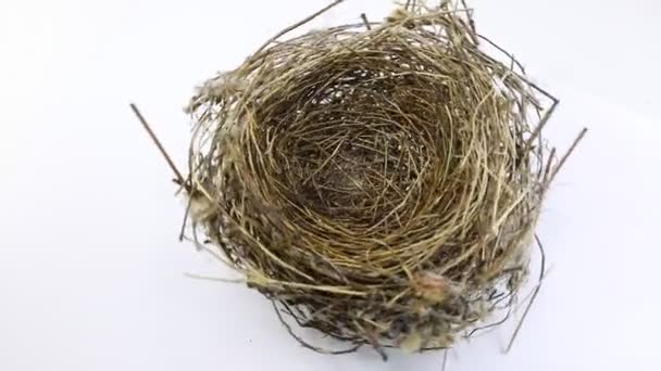 Маленькое птичье гнездо, сделанное из крученых веток, когда оно поворачивается на белом фоне
 - Кадры, видео