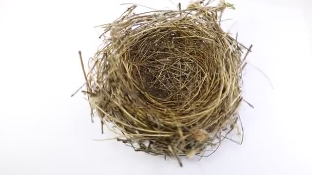 nido de aves hecho con ramitas retorcidas mientras se gira sobre sí mismo en un blanco
 - Metraje, vídeo